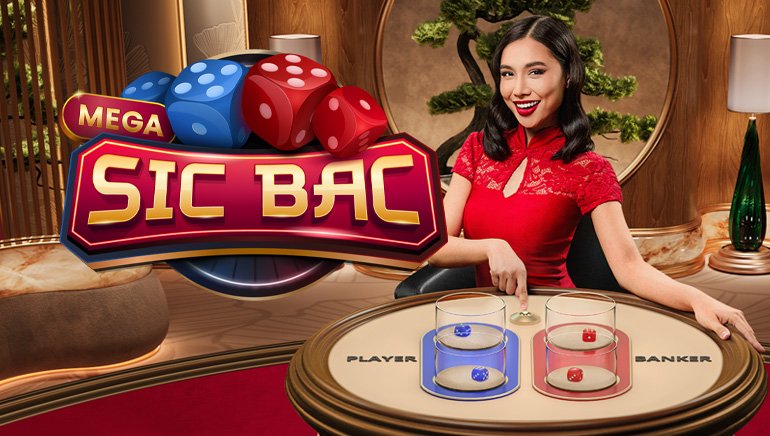 dbg33